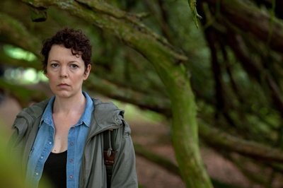 第十三个故事剧照的剧照