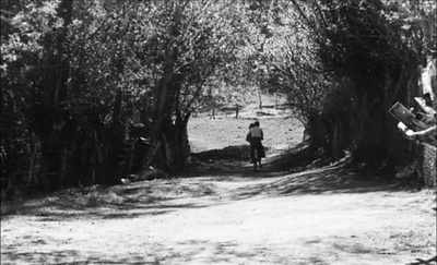 吉尔吉斯少年行剧照的剧照