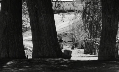 吉尔吉斯少年行剧照的剧照