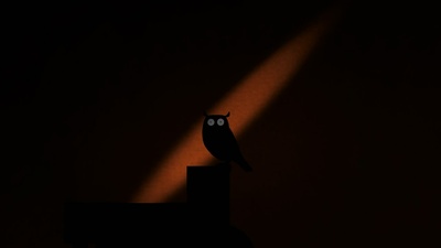 夜幕下的故事剧照的剧照