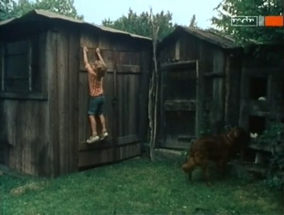 胎记剧照的剧照