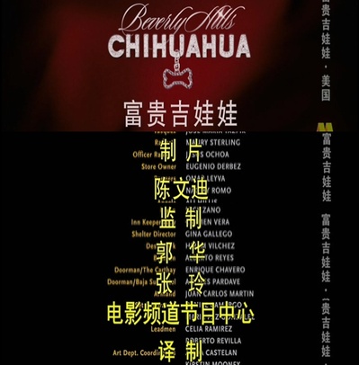 富贵吉娃娃剧照的剧照