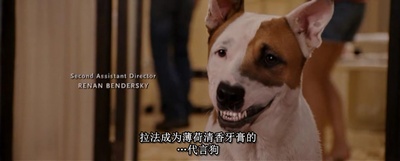 富贵吉娃娃剧照的剧照