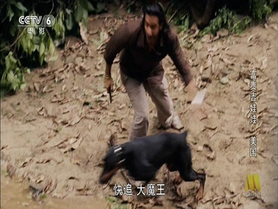 富贵吉娃娃剧照的剧照