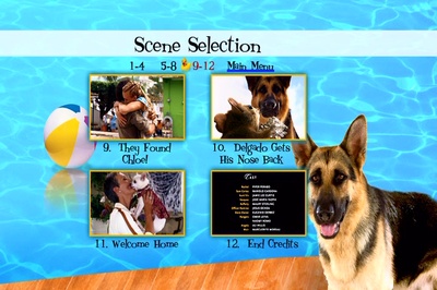 富贵吉娃娃剧照的剧照