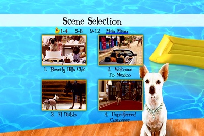 富贵吉娃娃剧照的剧照