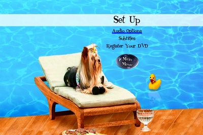 富贵吉娃娃剧照的剧照