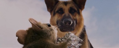 富贵吉娃娃剧照的剧照