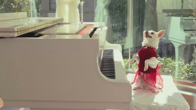 比佛利拜金狗3剧照的剧照