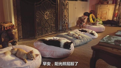 比佛利拜金狗3剧照的剧照