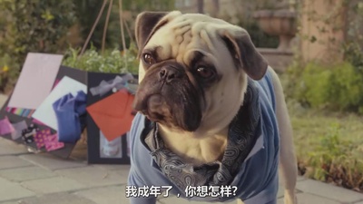 比佛利拜金狗3剧照的剧照