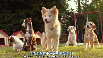 比佛利拜金狗3剧照的剧照