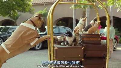 比佛利拜金狗3剧照的剧照