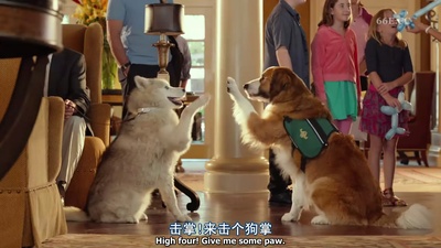 比佛利拜金狗3剧照的剧照