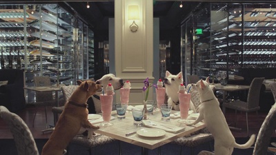 比佛利拜金狗3剧照的剧照