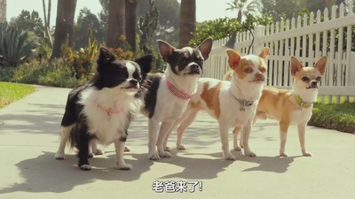 比佛利拜金狗3剧照的剧照