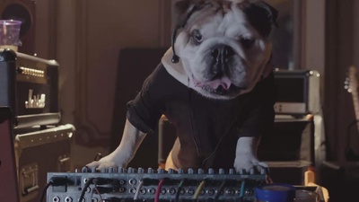 比佛利拜金狗3剧照的剧照