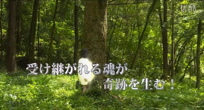 跆拳道魂：重生剧照的剧照