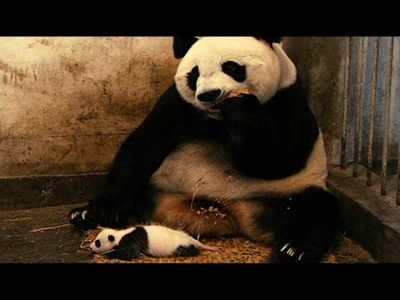 远距离爱情剧照的剧照