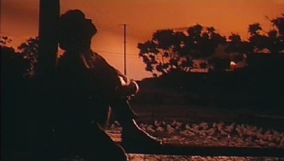 誓不忘情剧照的剧照