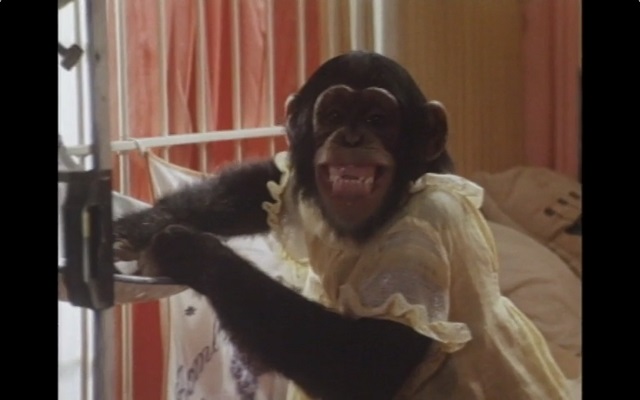 巴迪剧照的剧照