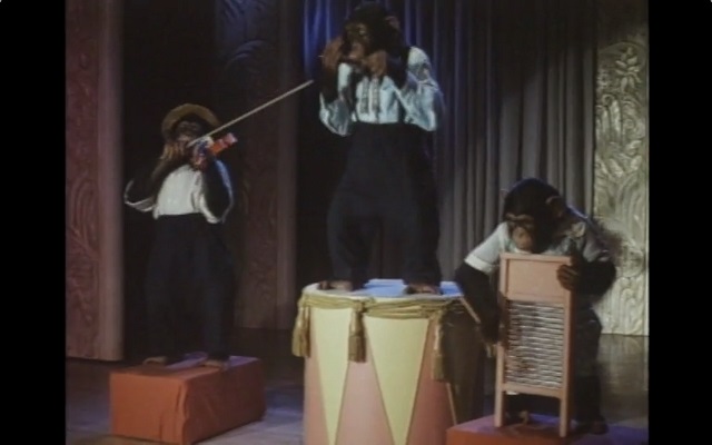 巴迪剧照的剧照