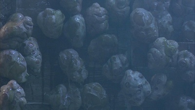 绝命小魔星剧照的剧照