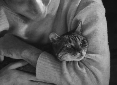 偷情边缘剧照的剧照