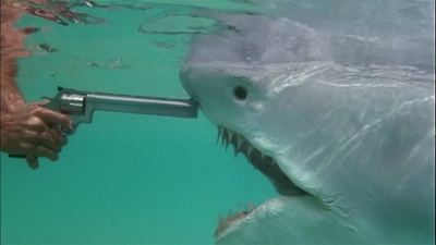 警察学校5：迈阿密之旅剧照的剧照