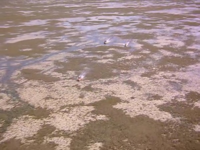 警察学校5：迈阿密之旅剧照的剧照