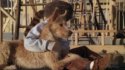 來自星空的愿望剧照的剧照