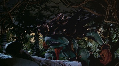 來自星空的愿望剧照的剧照