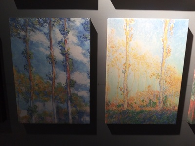 莫奈：睡莲的水光魔法剧照的剧照