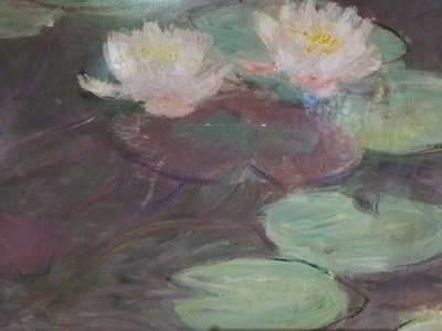 莫奈：睡莲的水光魔法剧照的剧照