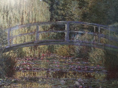 莫奈：睡莲的水光魔法剧照的剧照