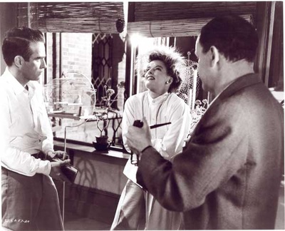 夏日痴魂剧照的剧照