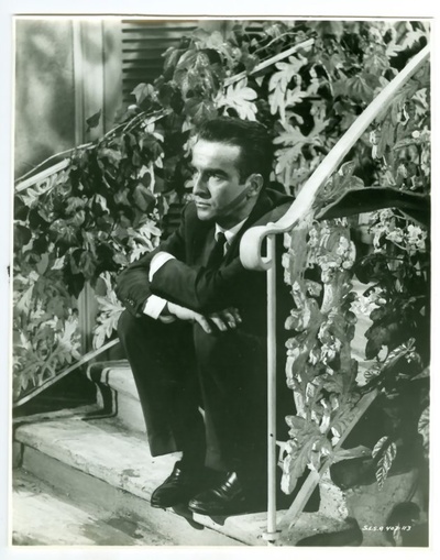 夏日痴魂剧照的剧照