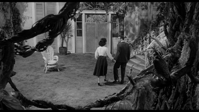 夏日痴魂剧照的剧照