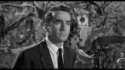 夏日痴魂剧照的剧照