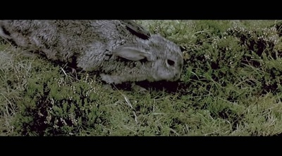 破浪剧照的剧照