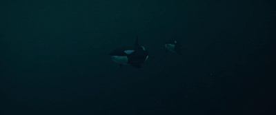 破浪而出剧照的剧照