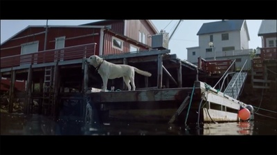 破浪而出剧照的剧照