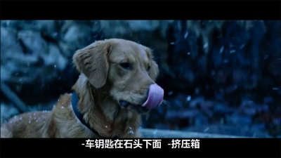 破浪而出剧照的剧照