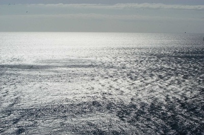 尼斯湖怪：深水传说剧照的剧照