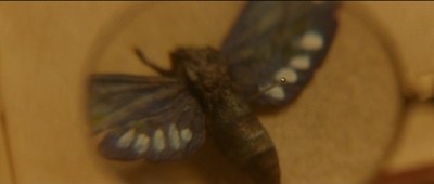 波特小姐剧照的剧照