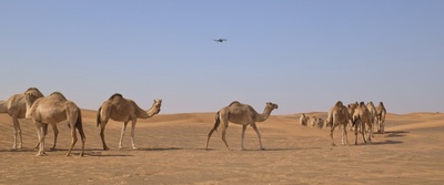 着陆剧照的剧照