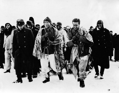 猎犬，你们想永生吗？剧照的剧照