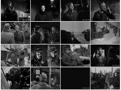 猎犬，你们想永生吗？剧照的剧照