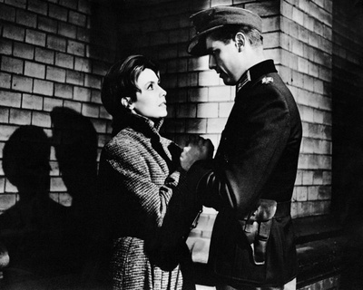 猎犬，你们想永生吗？剧照的剧照