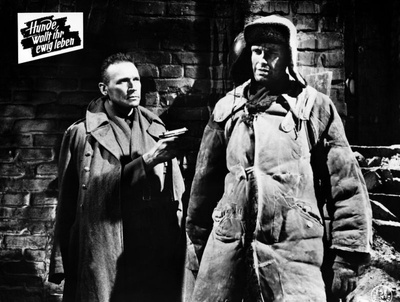 猎犬，你们想永生吗？剧照的剧照